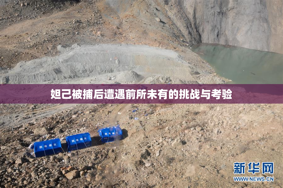 妲己被捕后遭遇前所未有的挑战与考验