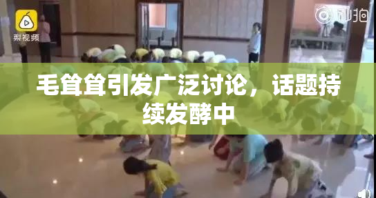 毛耸耸引发广泛讨论，话题持续发酵中