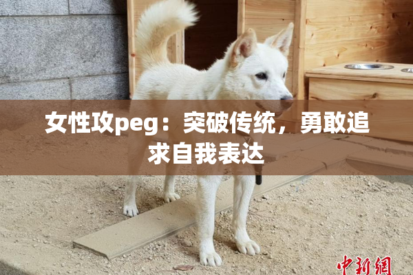 女性攻peg：突破传统，勇敢追求自我表达