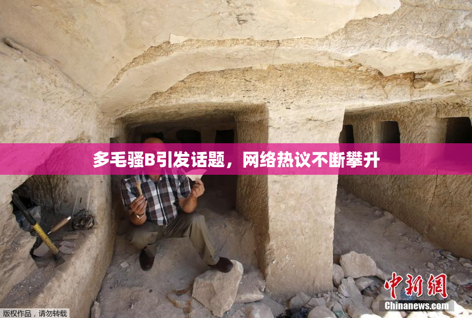 多毛骚B引发话题，网络热议不断攀升