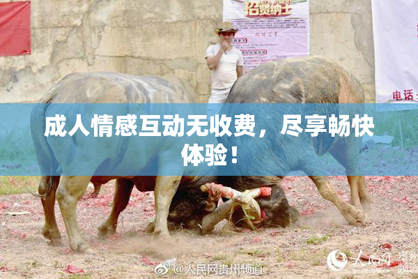 成人情感互动无收费，尽享畅快体验！