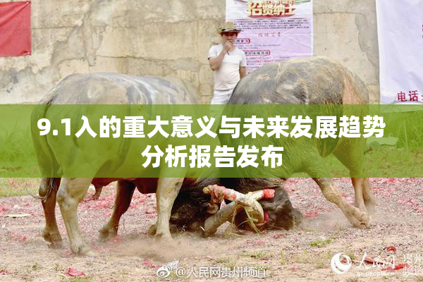 9.1入的重大意义与未来发展趋势分析报告发布