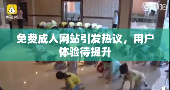 免费成人网站引发热议，用户体验待提升
