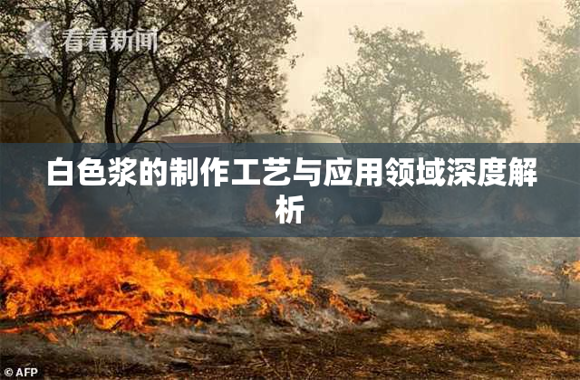 白色浆的制作工艺与应用领域深度解析