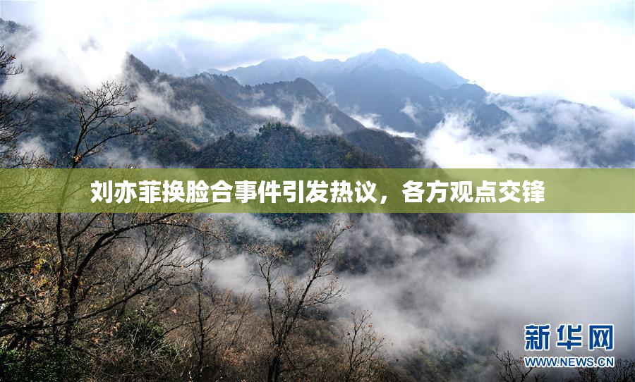 刘亦菲换脸合事件引发热议，各方观点交锋