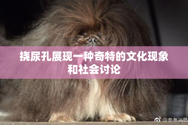 挠尿孔展现一种奇特的文化现象和社会讨论