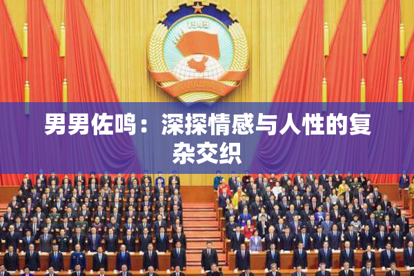男男佐鸣：深探情感与人性的复杂交织