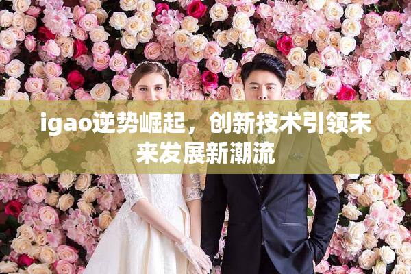 igao逆势崛起，创新技术引领未来发展新潮流