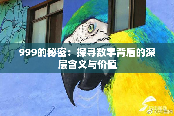 999的秘密：探寻数字背后的深层含义与价值