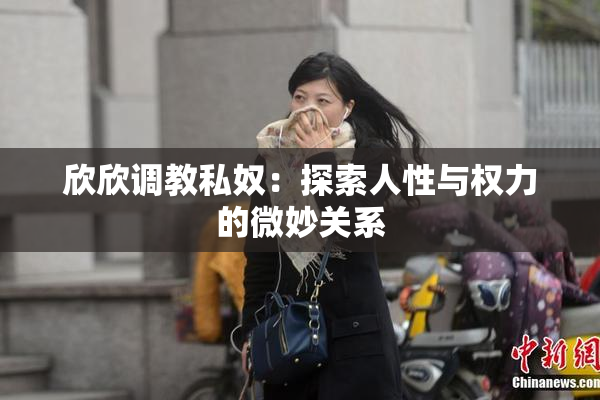 欣欣调教私奴：探索人性与权力的微妙关系