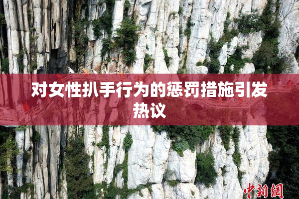 对女性扒手行为的惩罚措施引发热议