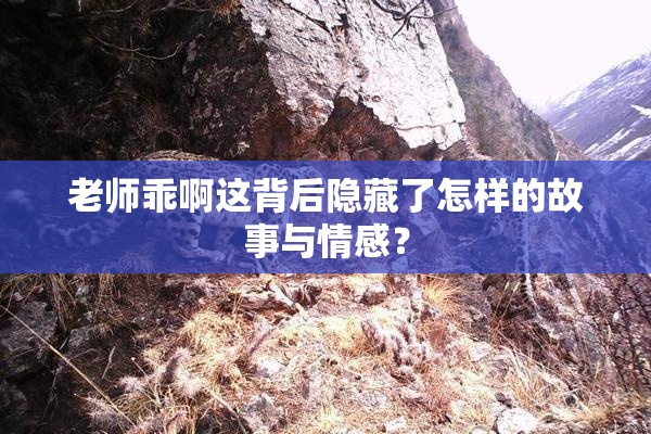 老师乖啊这背后隐藏了怎样的故事与情感？