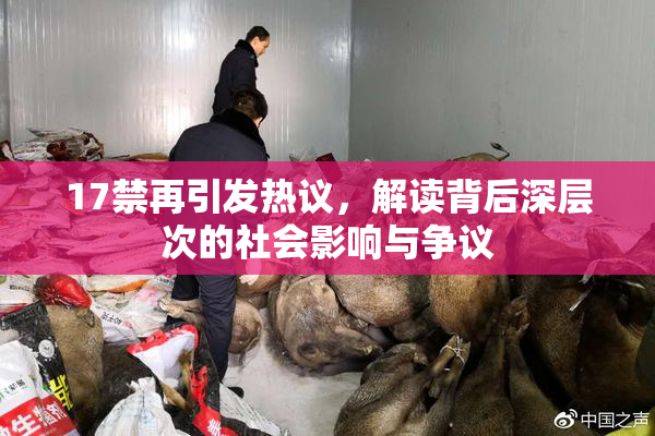 17禁再引发热议，解读背后深层次的社会影响与争议