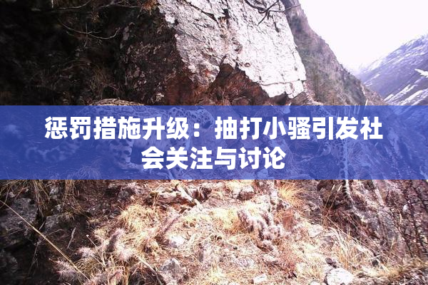 惩罚措施升级：抽打小骚引发社会关注与讨论