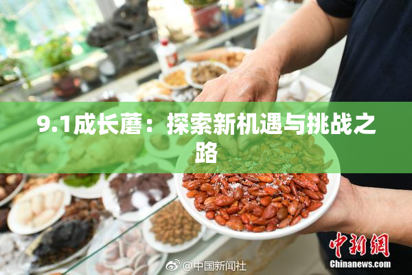 9.1成长蘑：探索新机遇与挑战之路