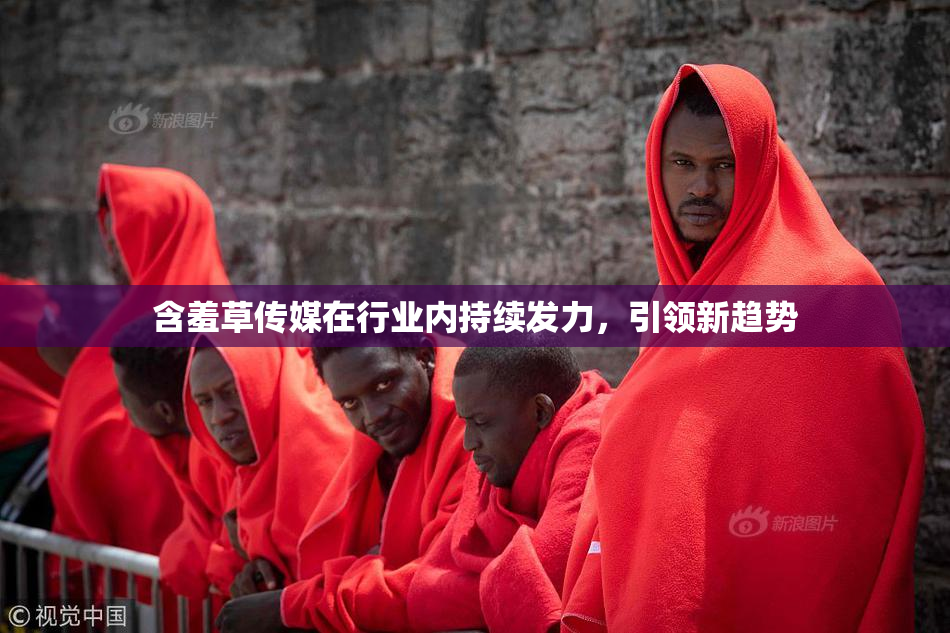 含羞草传媒在行业内持续发力，引领新趋势