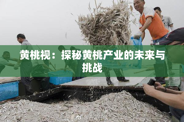 黄桃视：探秘黄桃产业的未来与挑战