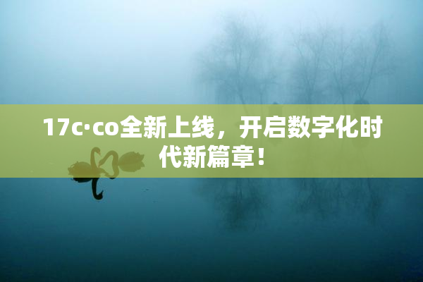 17c·co全新上线，开启数字化时代新篇章！