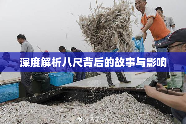 深度解析八尺背后的故事与影响