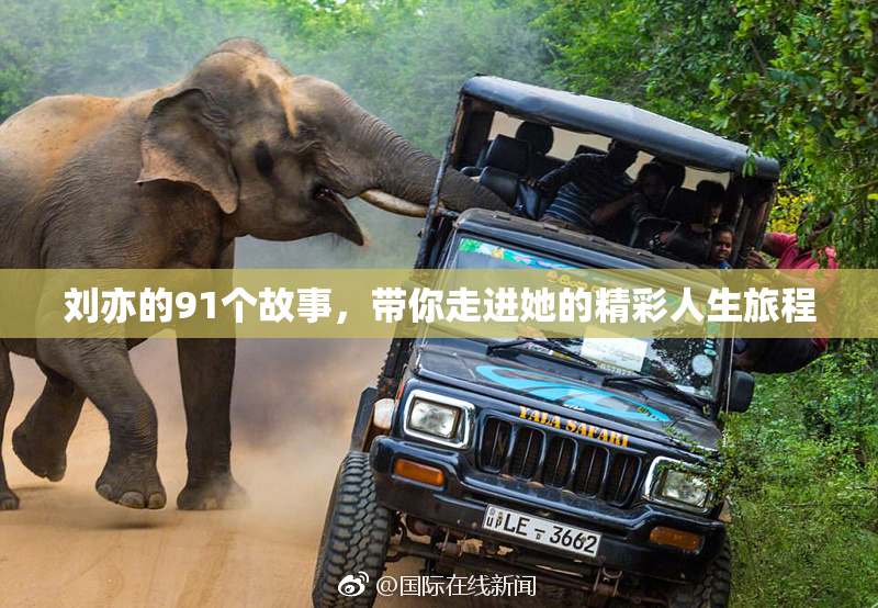 刘亦的91个故事，带你走进她的精彩人生旅程