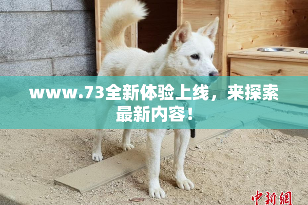 www.73全新体验上线，来探索最新内容！