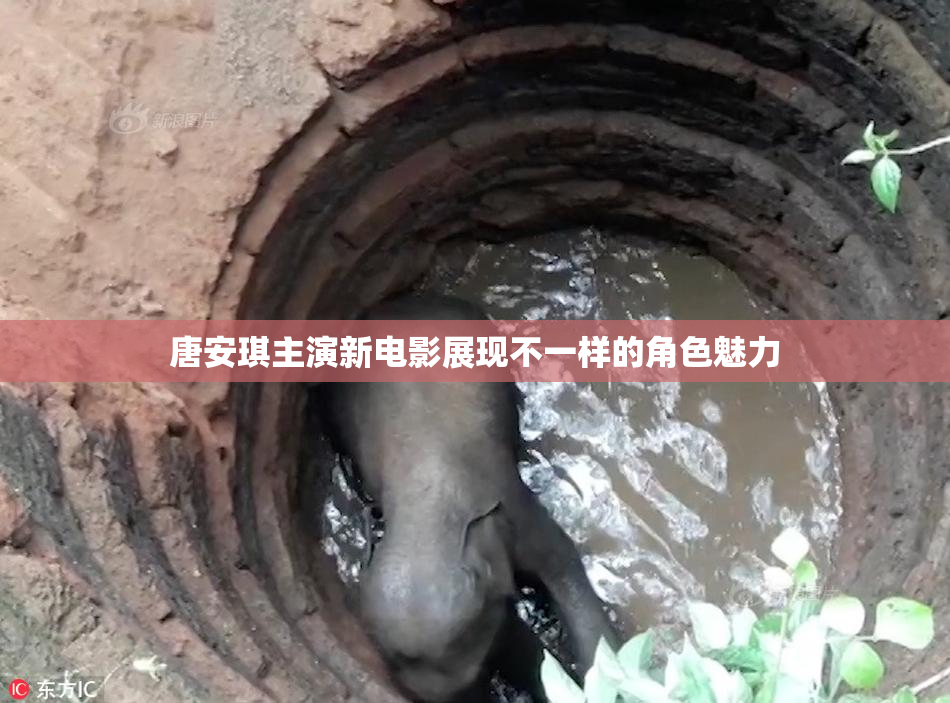 唐安琪主演新电影展现不一样的角色魅力