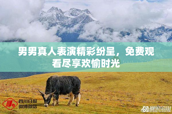 男男真人表演精彩纷呈，免费观看尽享欢愉时光