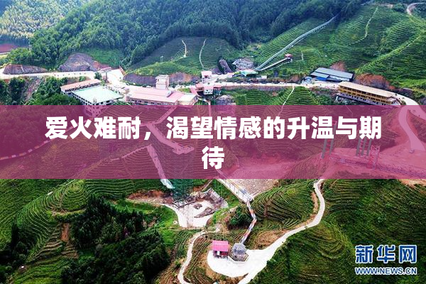 爱火难耐，渴望情感的升温与期待