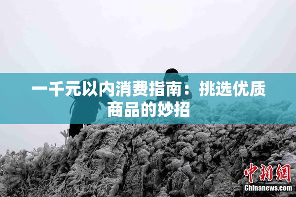 一千元以内消费指南：挑选优质商品的妙招
