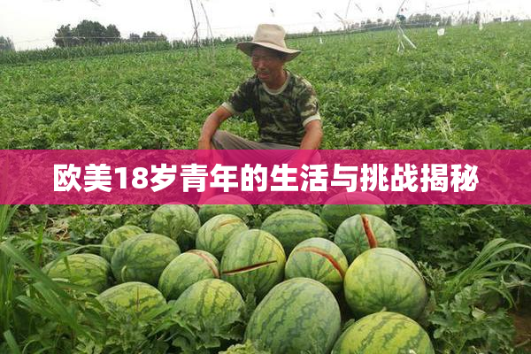欧美18岁青年的生活与挑战揭秘