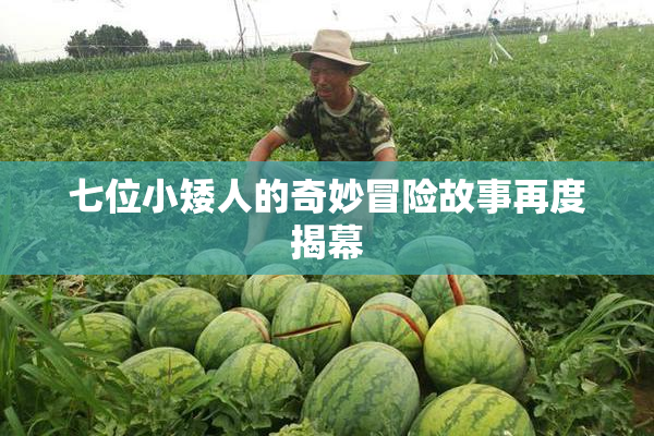 七位小矮人的奇妙冒险故事再度揭幕