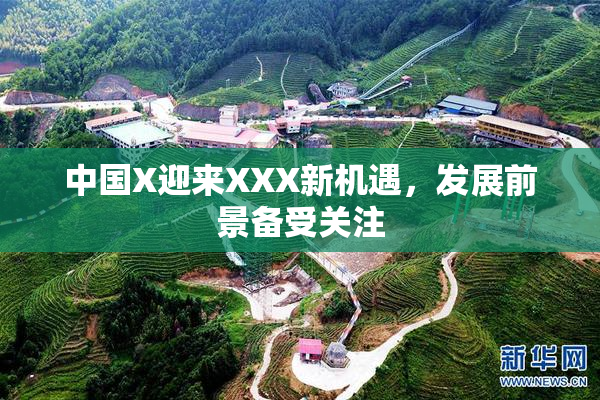 中国X迎来XXX新机遇，发展前景备受关注