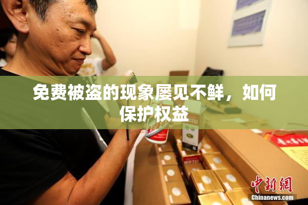 免费被盗的现象屡见不鲜，如何保护权益