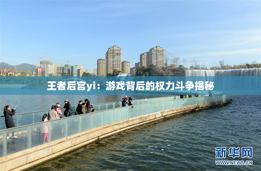 王者后宫yi：游戏背后的权力斗争揭秘