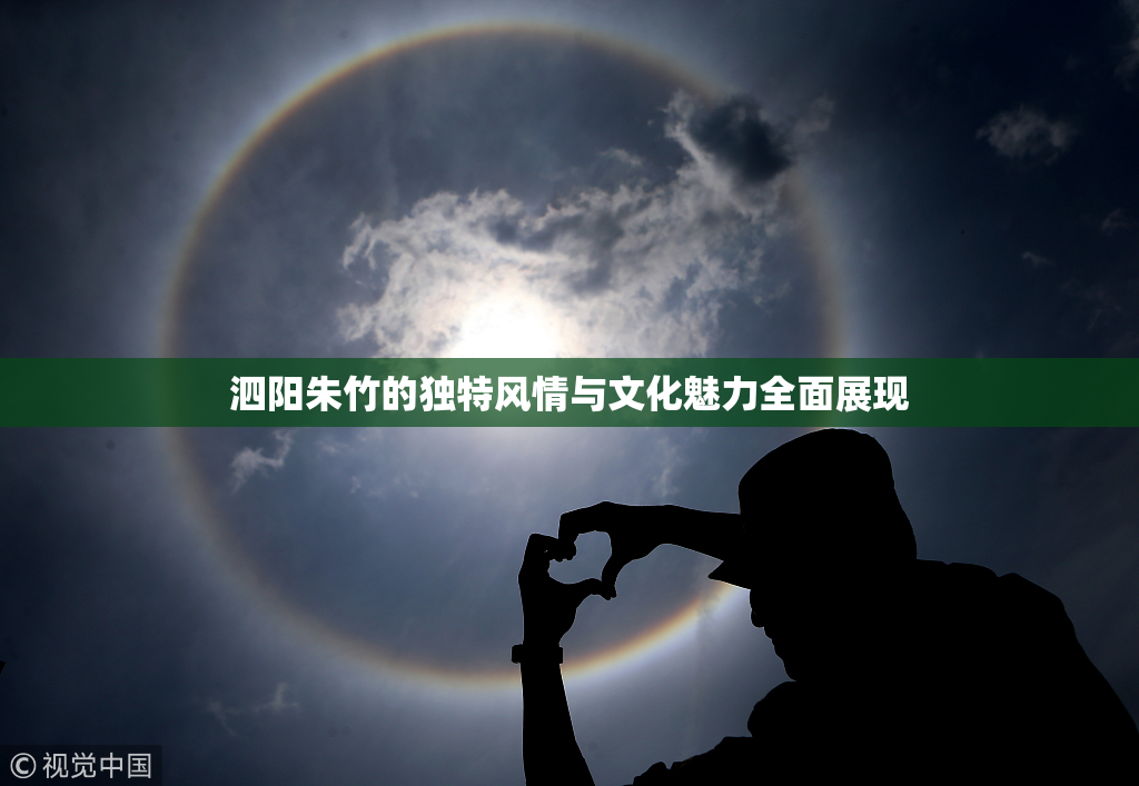 泗阳朱竹的独特风情与文化魅力全面展现