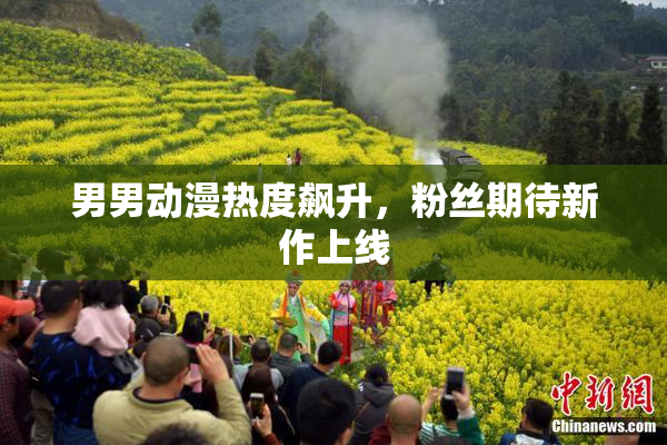 男男动漫热度飙升，粉丝期待新作上线