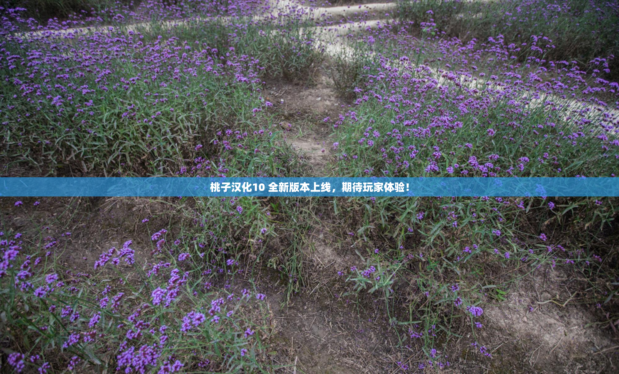 桃子汉化10 全新版本上线，期待玩家体验！