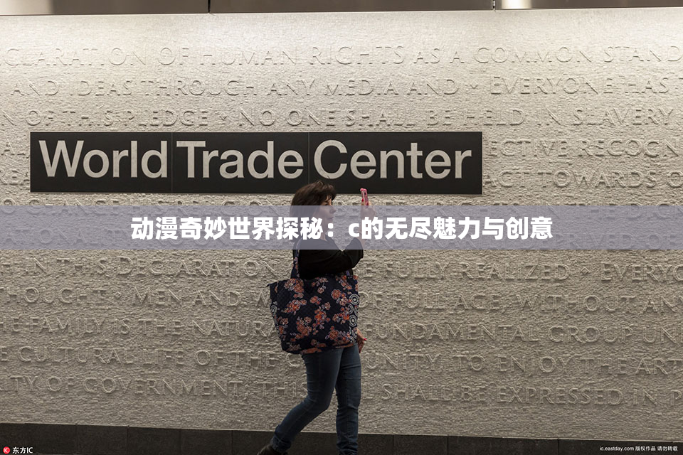 动漫奇妙世界探秘：c的无尽魅力与创意