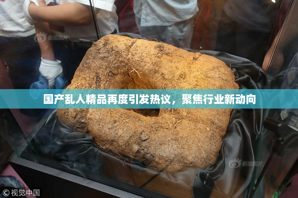国产乱人精品再度引发热议，聚焦行业新动向