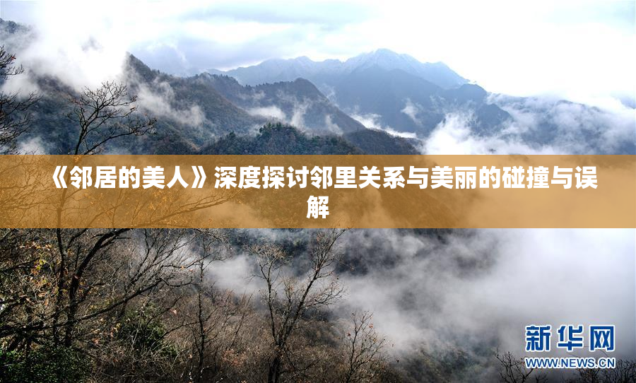 《邻居的美人》深度探讨邻里关系与美丽的碰撞与误解