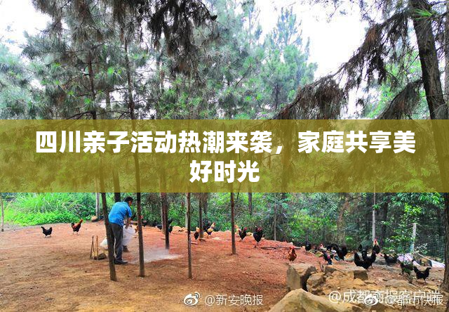 四川亲子活动热潮来袭，家庭共享美好时光
