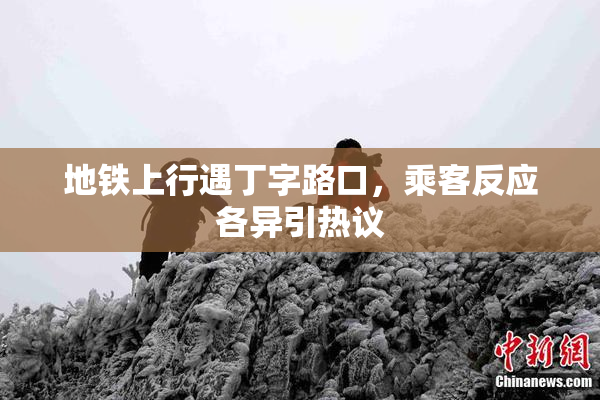 地铁上行遇丁字路口，乘客反应各异引热议