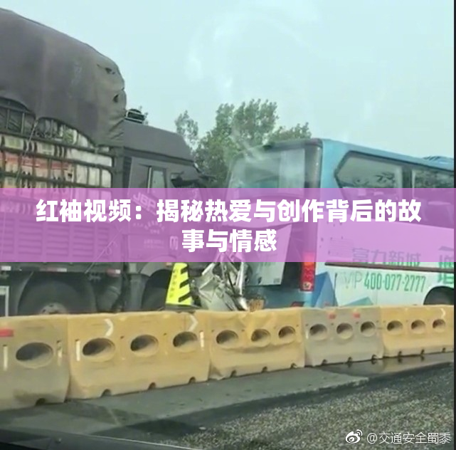红袖视频：揭秘热爱与创作背后的故事与情感