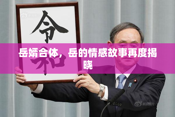 岳婿合体，岳的情感故事再度揭晓