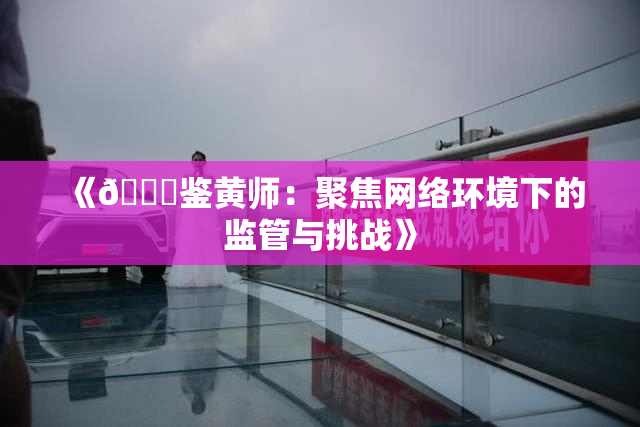 《🔞鉴黄师：聚焦网络环境下的监管与挑战》