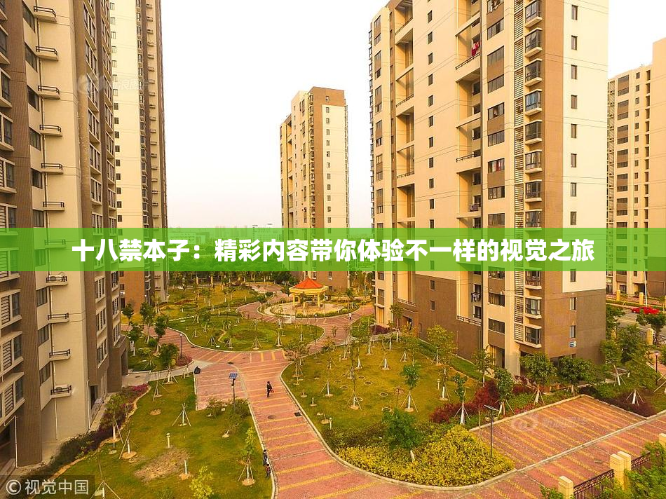 十八禁本子：精彩内容带你体验不一样的视觉之旅
