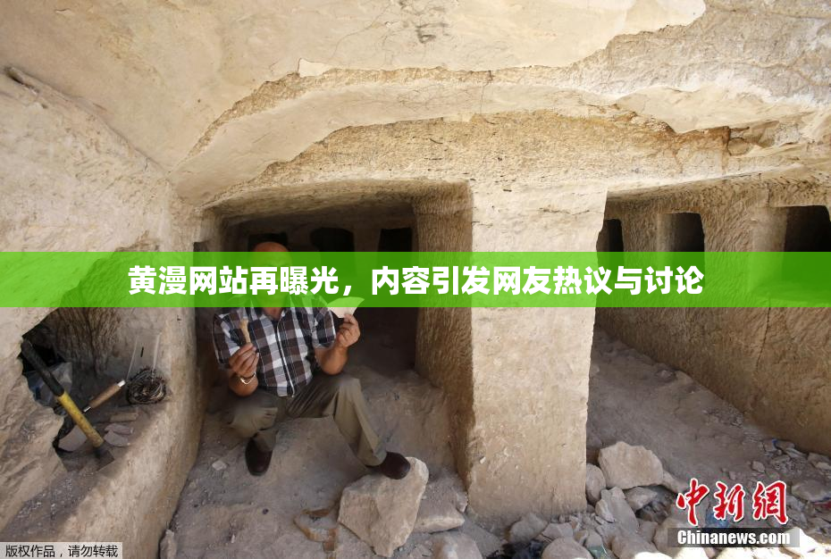 黄漫网站再曝光，内容引发网友热议与讨论