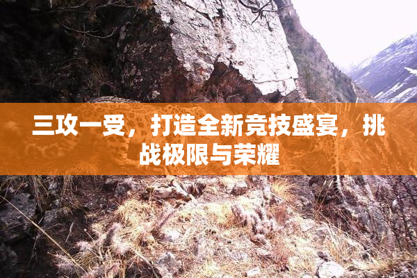 三攻一受，打造全新竞技盛宴，挑战极限与荣耀