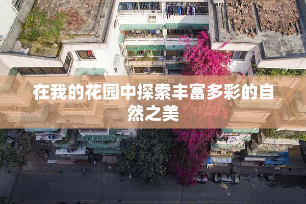 在我的花园中探索丰富多彩的自然之美