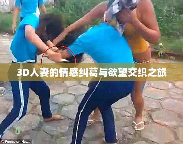 3D人妻的情感纠葛与欲望交织之旅